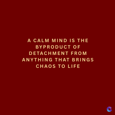 A CALM MIND IS THE
BYPRODUCT OF
DETACHMENT FROM
ANYTHING THAT BRINGS
CHAOS TO LIFE