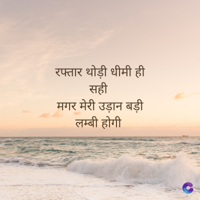 रफ्तार थोड़ी धीमी ही
सही
मगर मेरी उड़ान बड़ी
लम्बी होगी