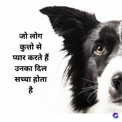 जो लोग
कुत्तो से
प्यार करते हैं
उनका दिल
सच्चा हो
है
fuc