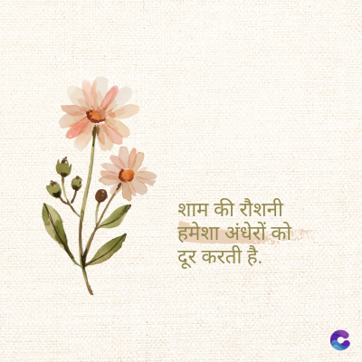 शाम की रौशनी
हमेशा अंधेरों को
दूर करती है.
